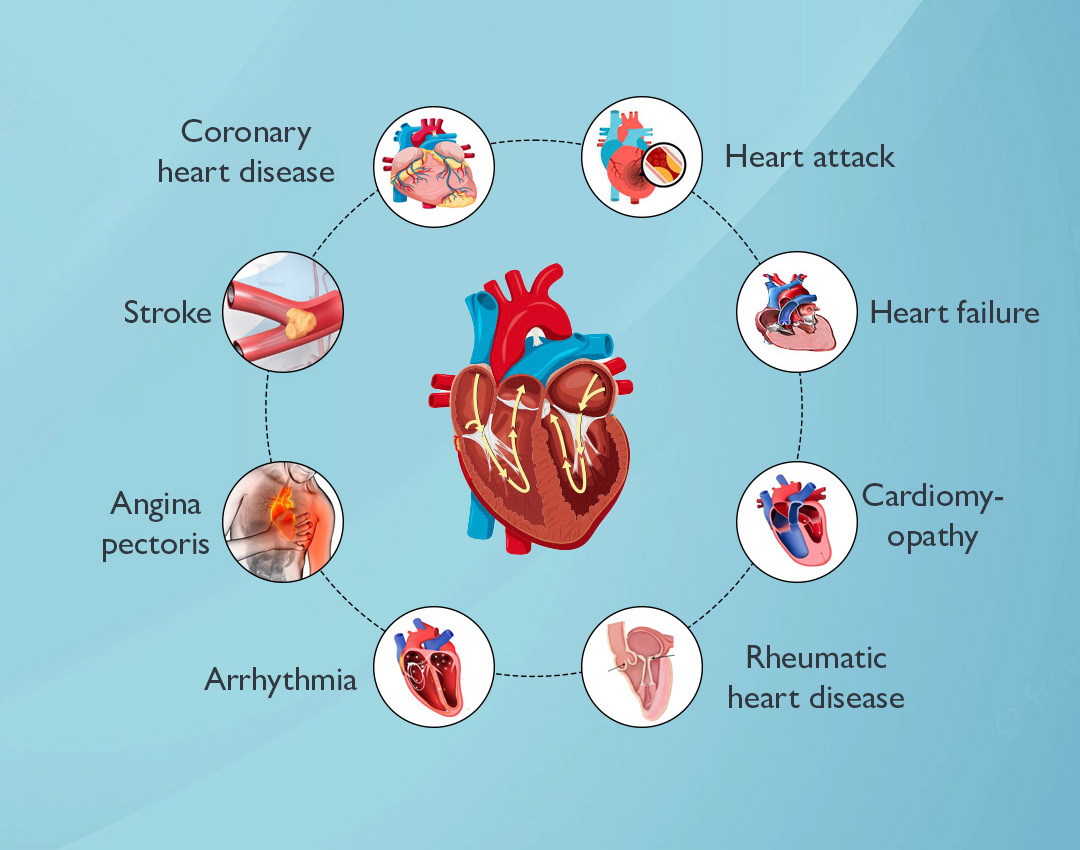 Heart Diseases - TRUWELLTH Personalised Nutrition, Health & Fitness Center