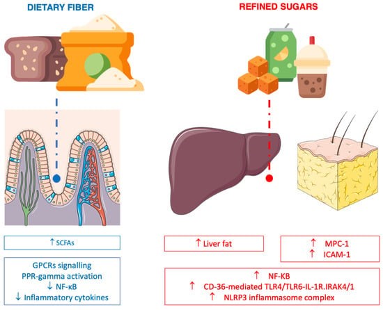 Anti-inflammatory nutrients