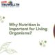 Why Nutrition is Important for Living Organisms
